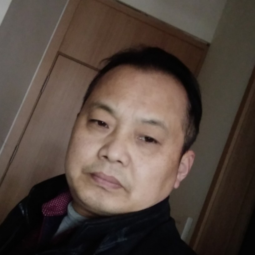 乌龟彩色的照片