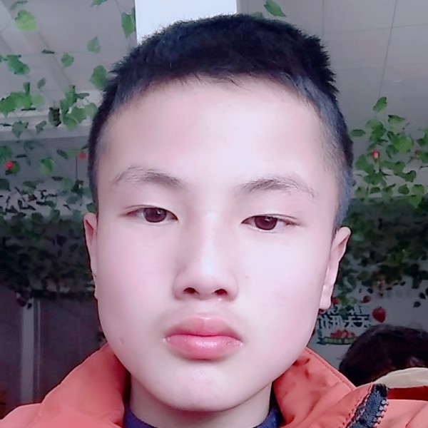 图层减肥的局的照片