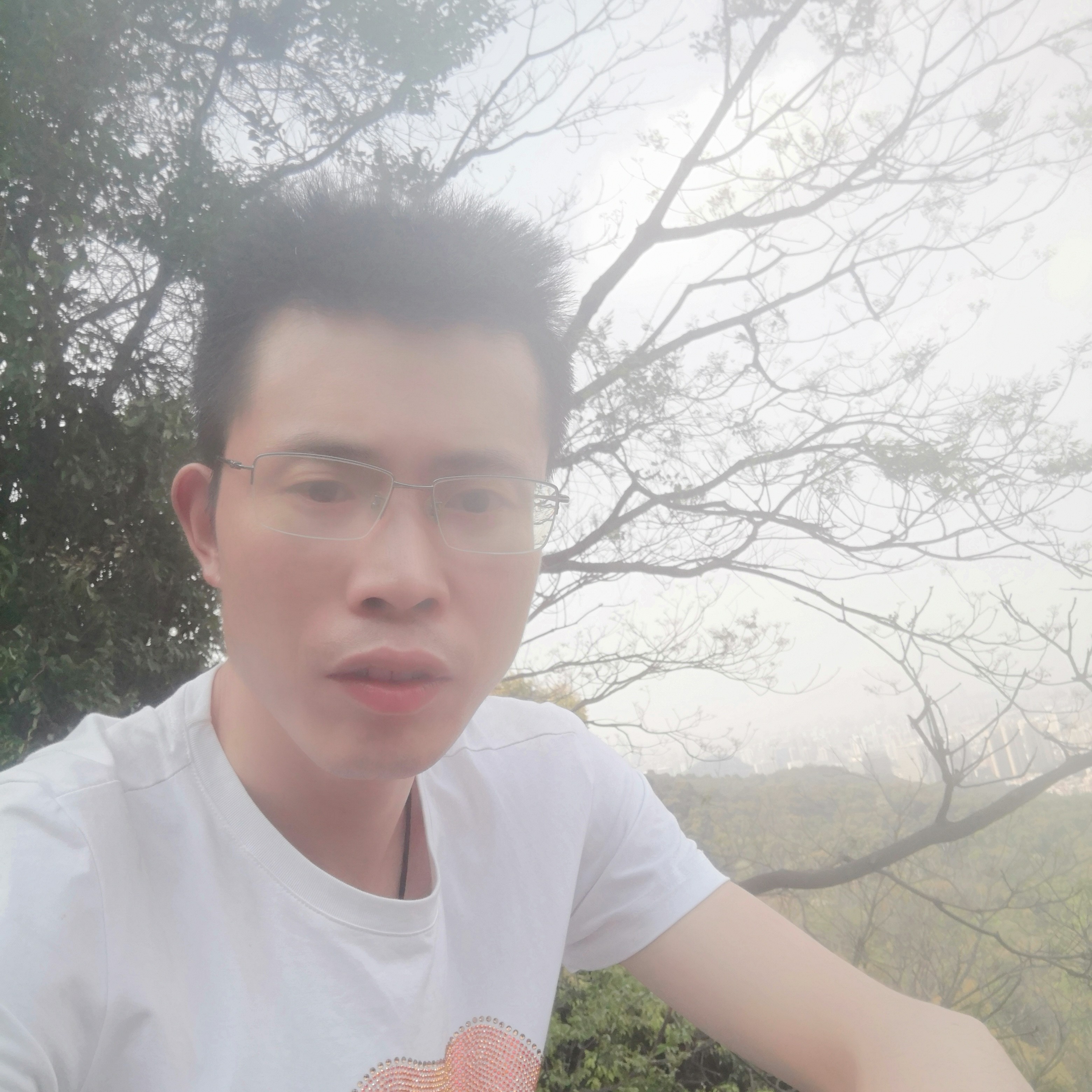 坚强华之伦的照片