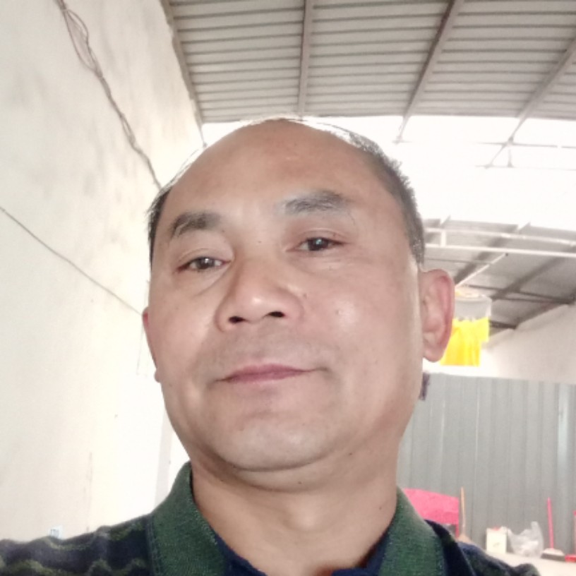 无聊的小熊猫的照片