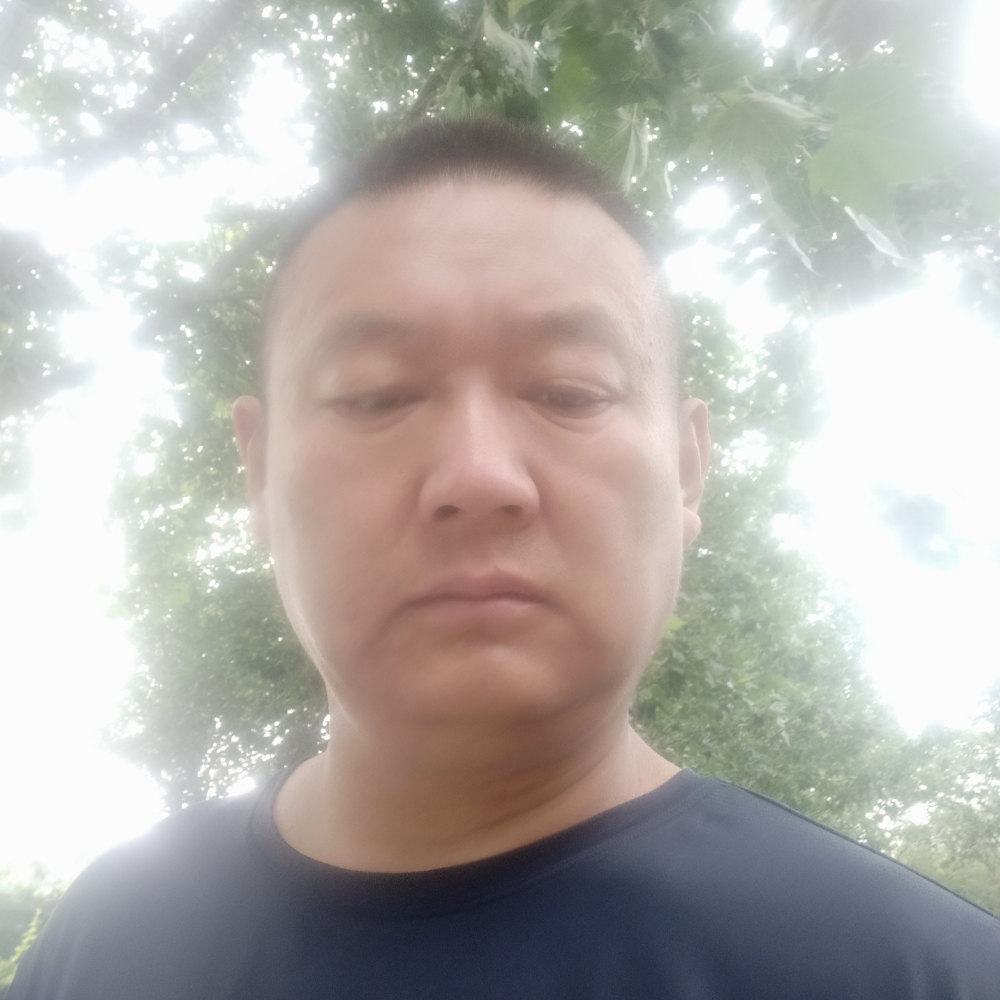 不要钱的照片