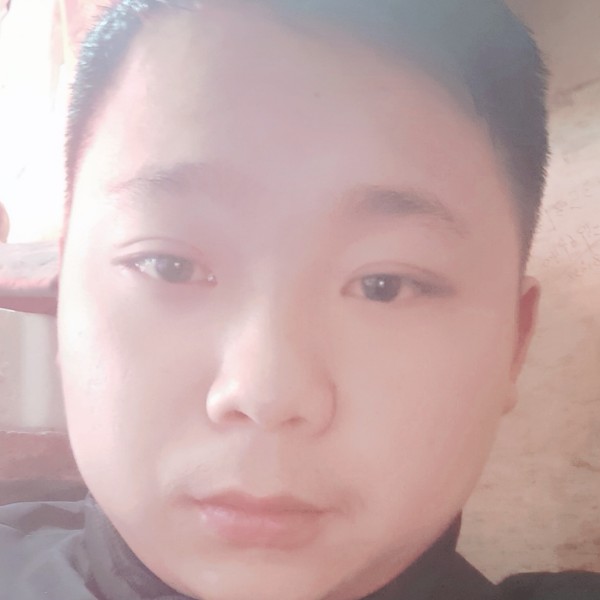 爱笑拾忆乌龟的照片