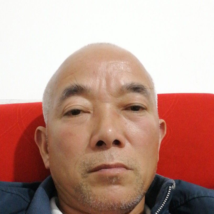 冷静凝眸羊的照片