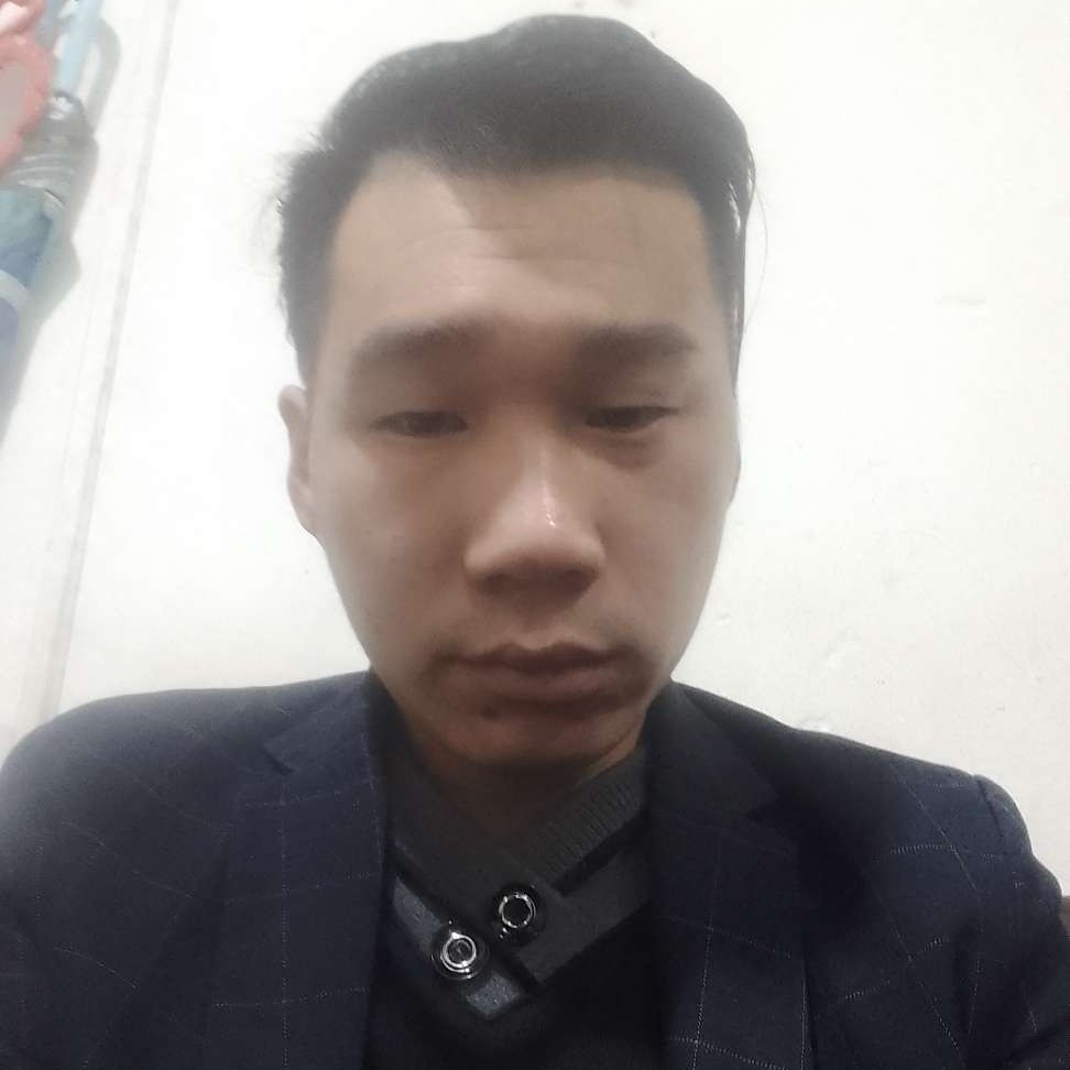 灰狼蹁跹优雅的照片