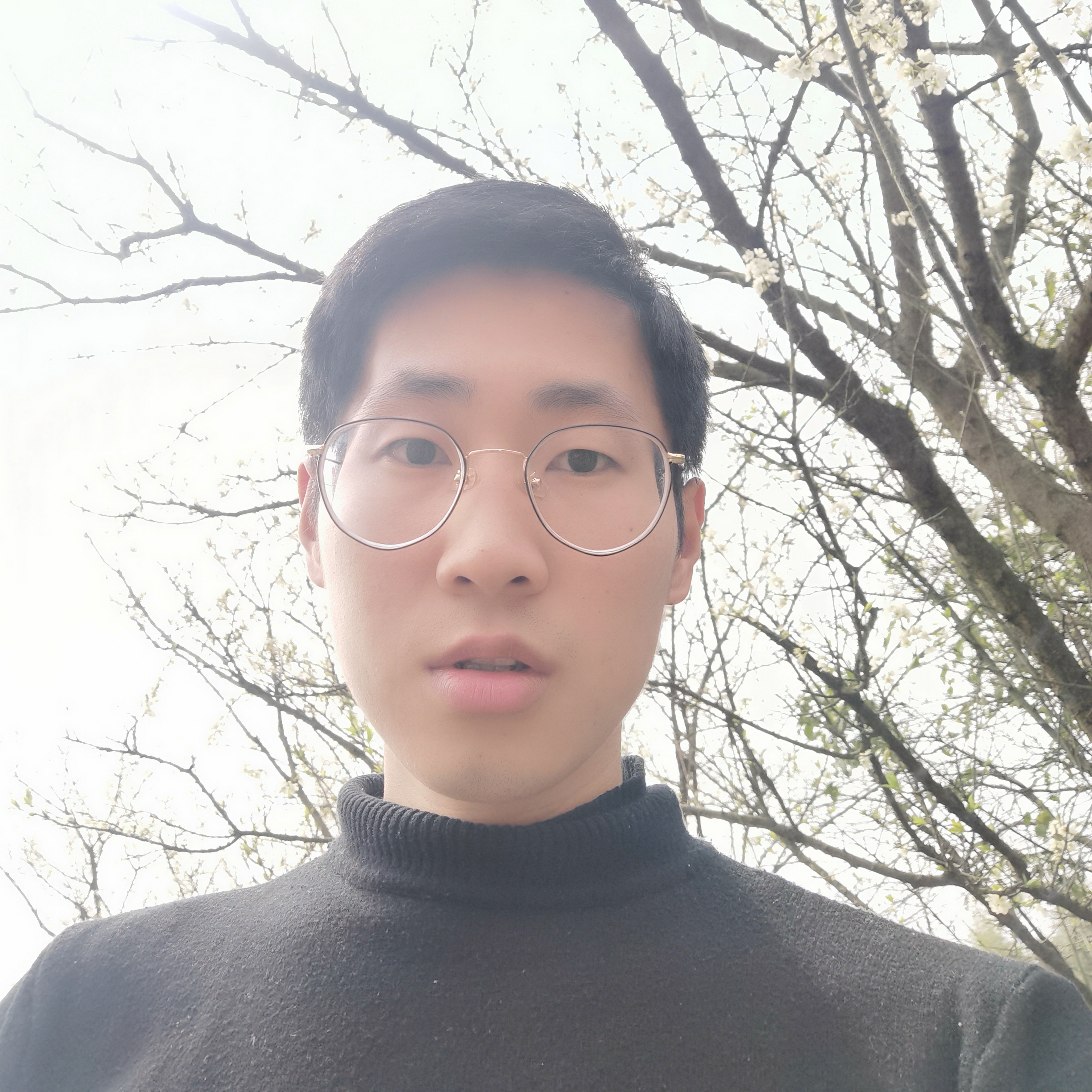 冷眸改变标致的照片