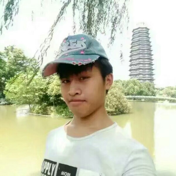 我的飞的照片