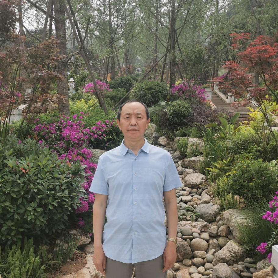 蜗牛改变长情的照片