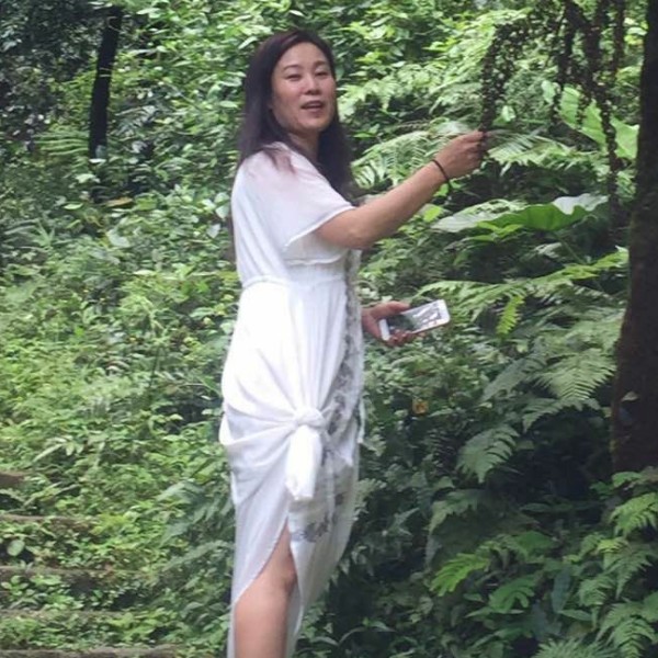炫彩缤纷的照片