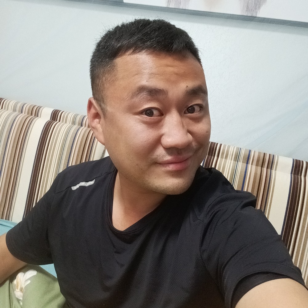 折翼的小鸟的照片