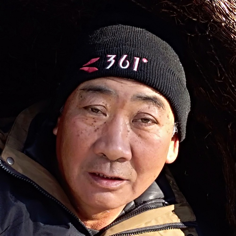 飞鱼的照片