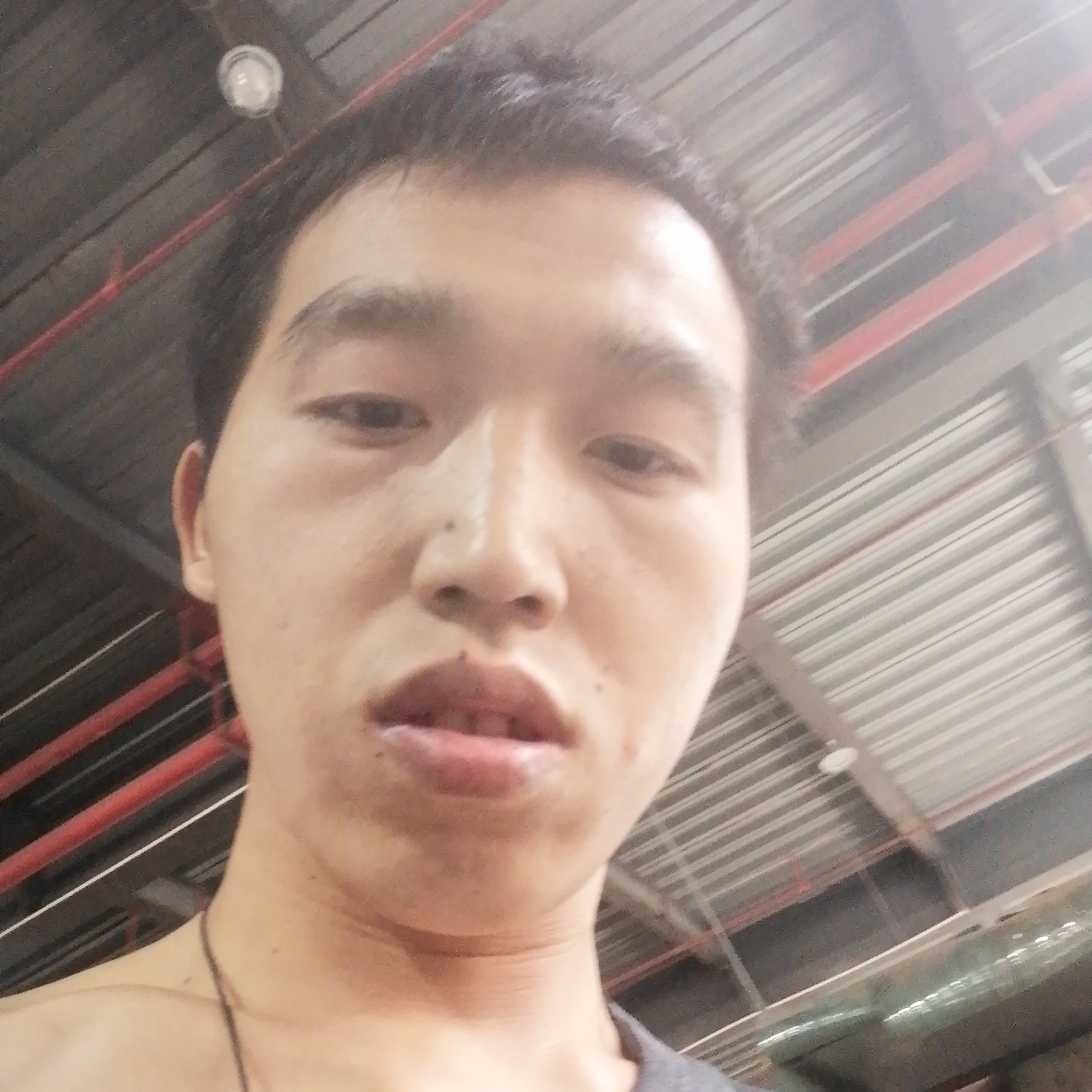 小懒猪邂逅可靠的照片