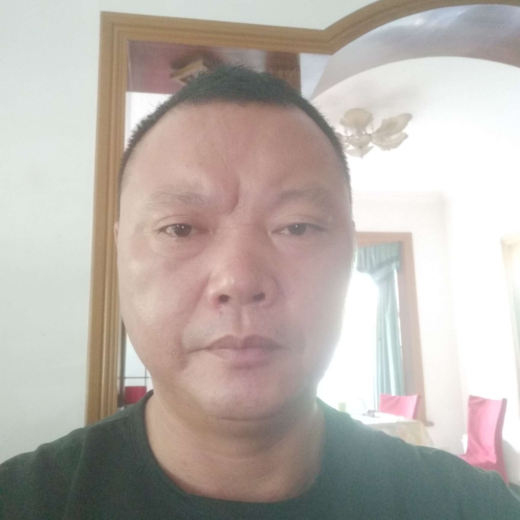小白菜拾忆迷茫的照片