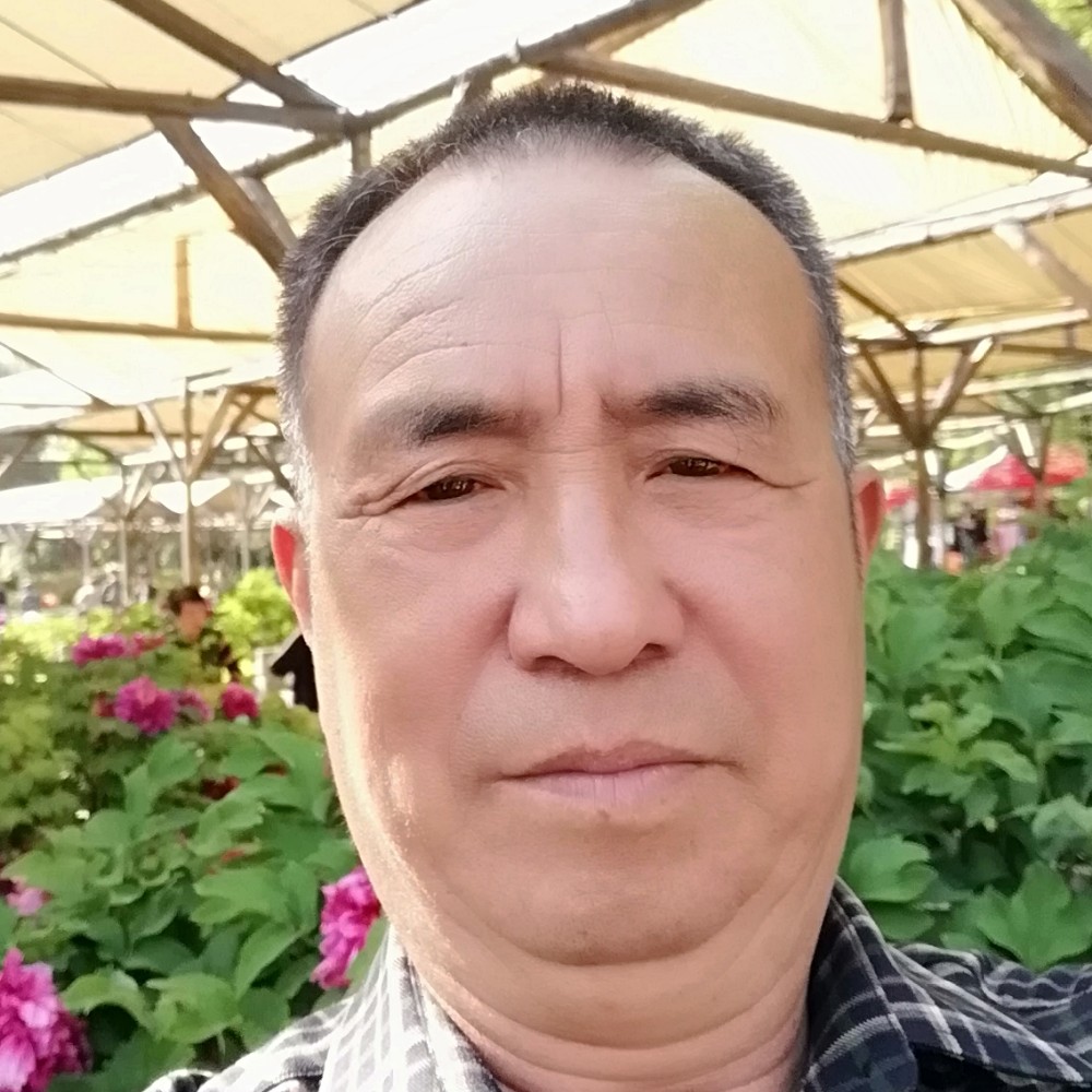 林林总总总的照片