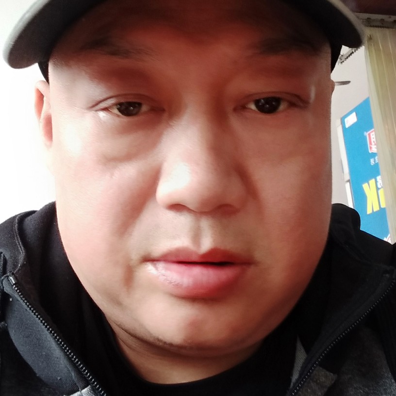 刺猬蹙眉殷勤的照片