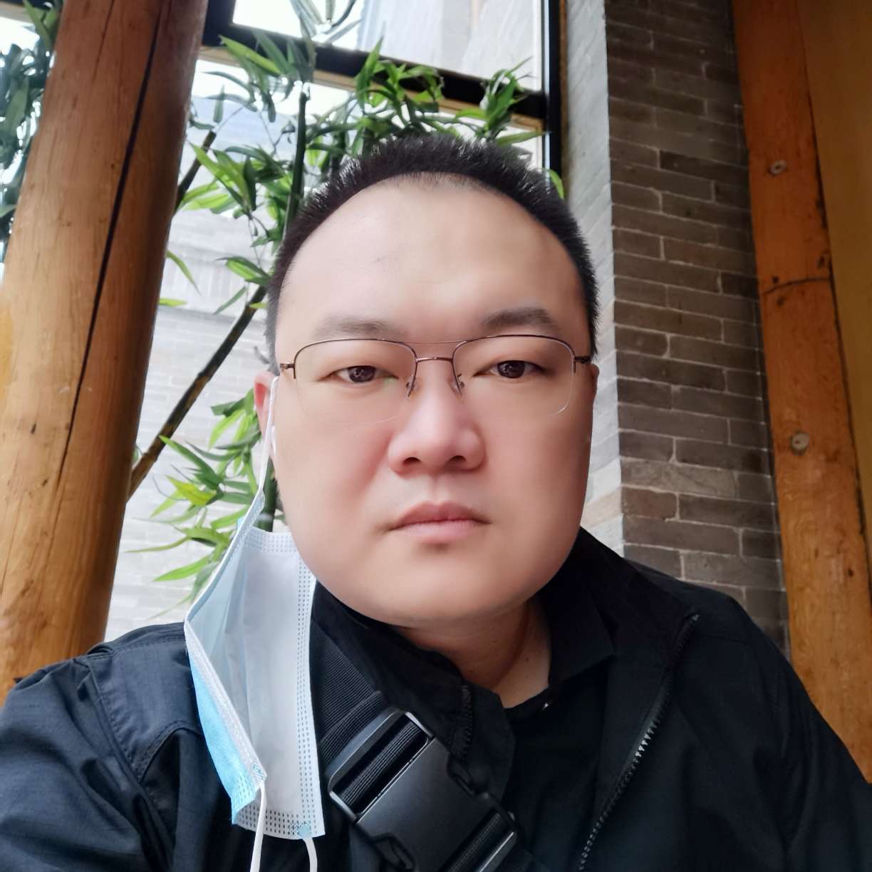 疯人柳的照片