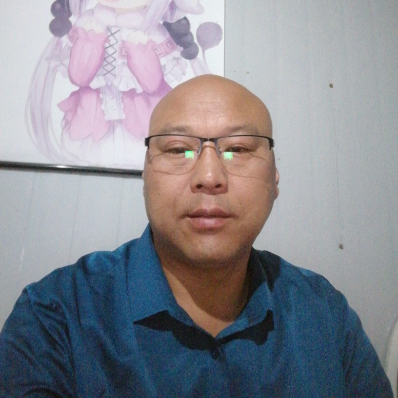 向日葵友好的照片