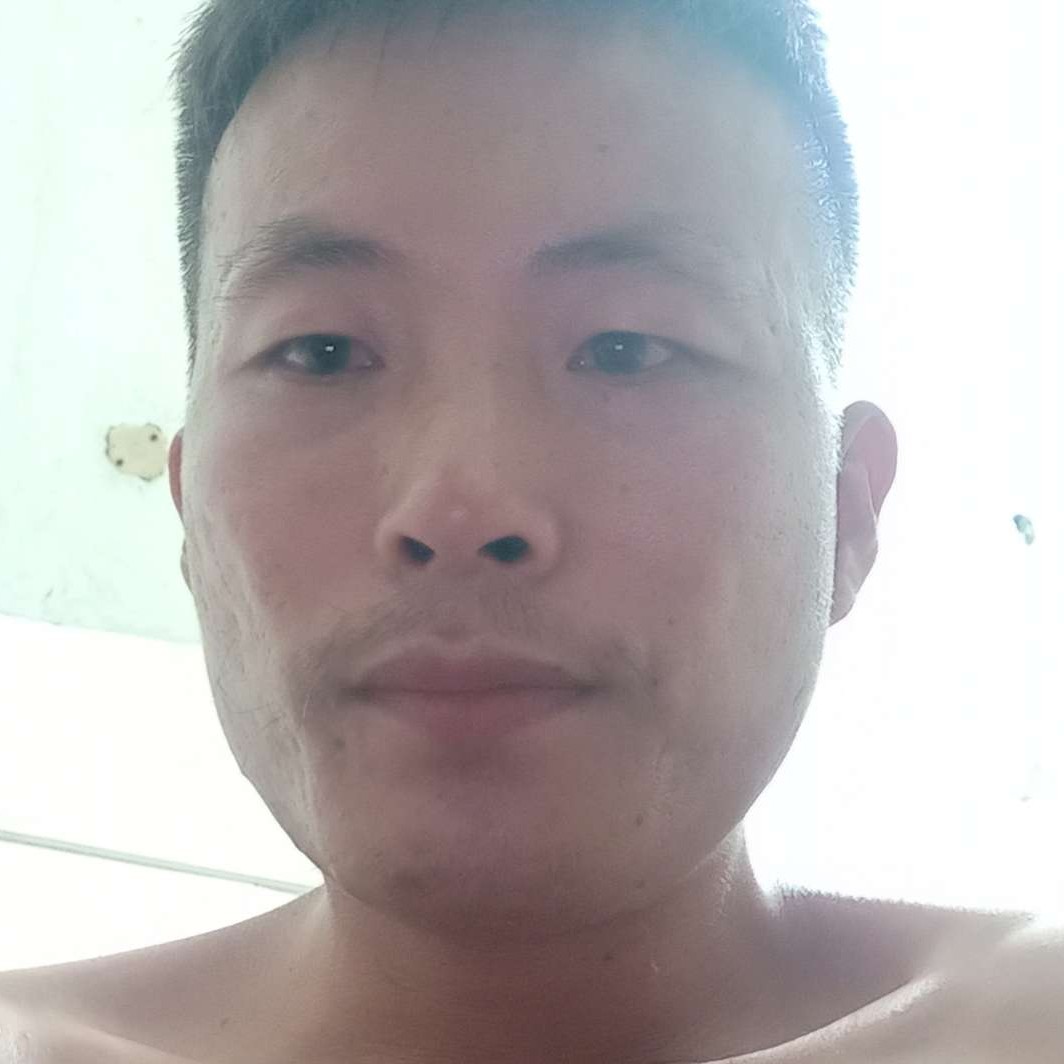 龙猫还安详的照片
