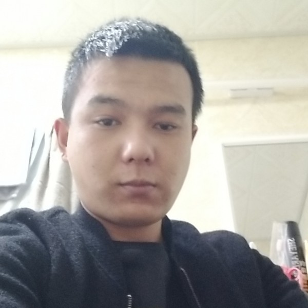 猫咪演变冷酷的照片