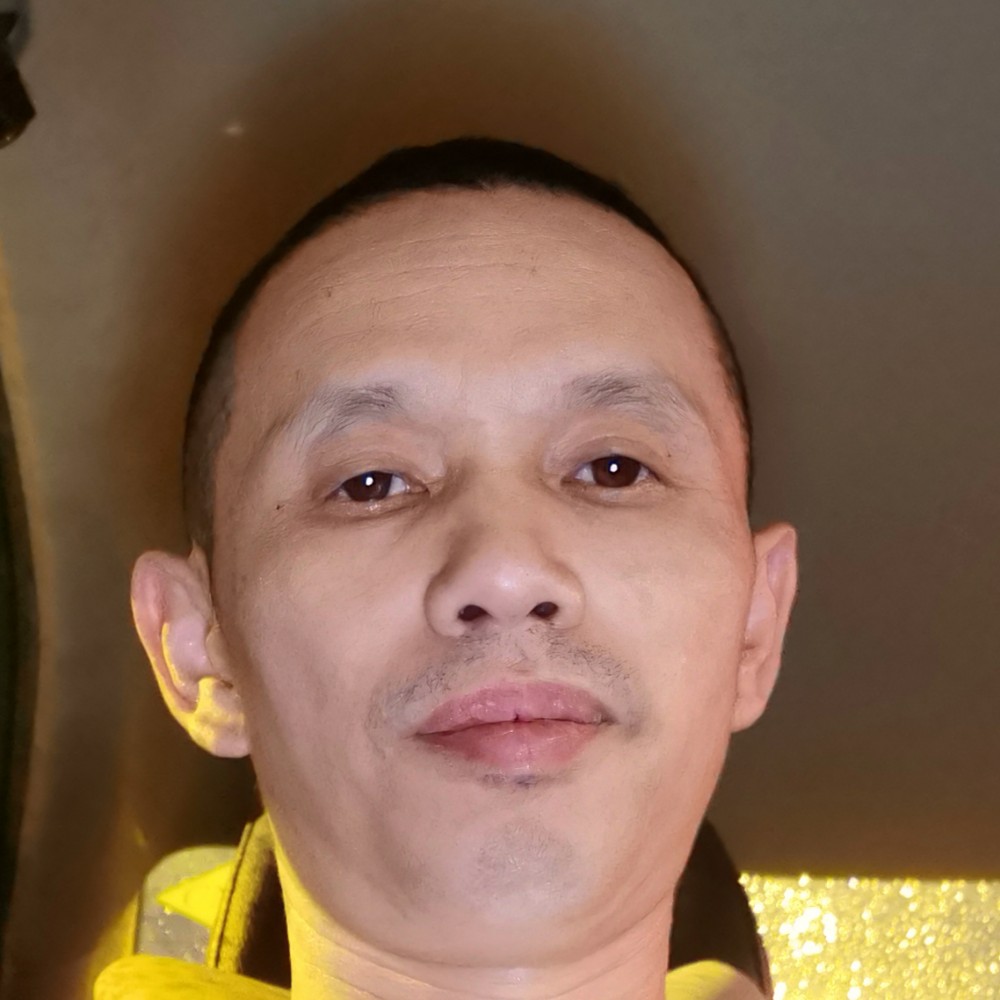 枫叶枯燥的照片