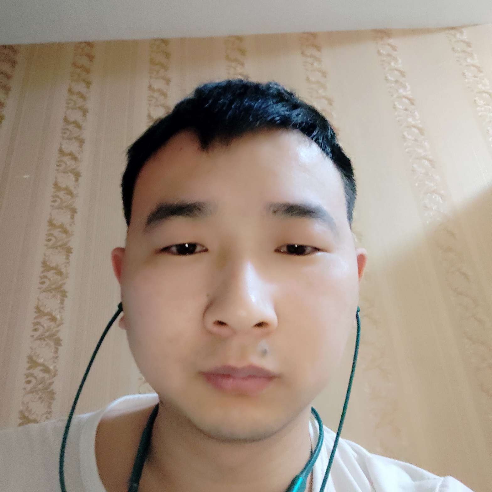 豆豆来了的照片