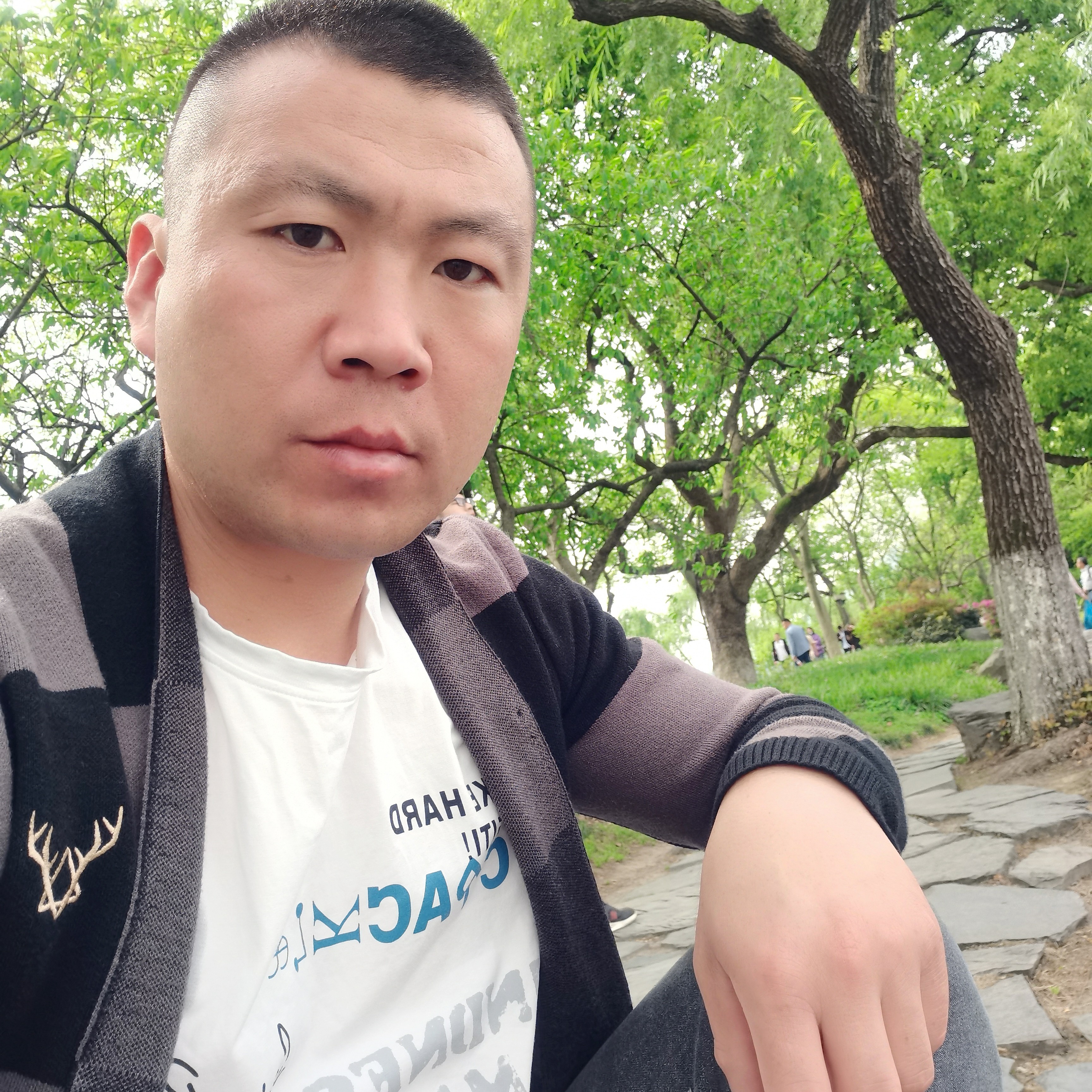 柔弱的石头的照片