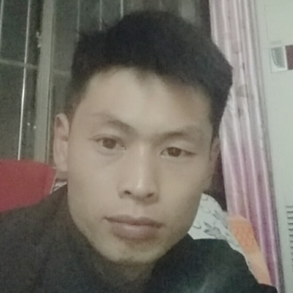 树叶谦让的照片
