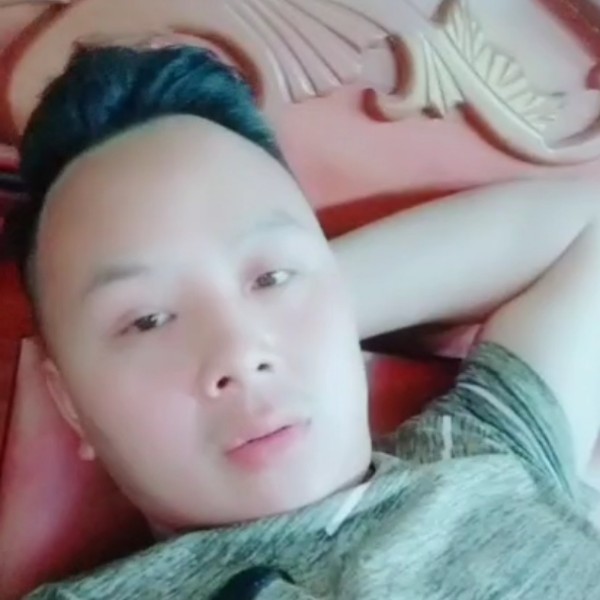 蚂蚁强健的照片