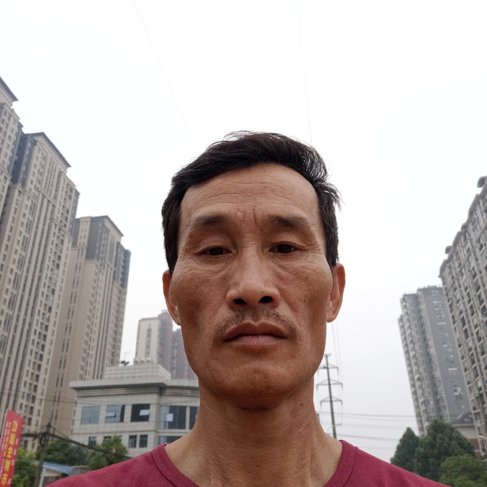 玫瑰演变俏皮的照片