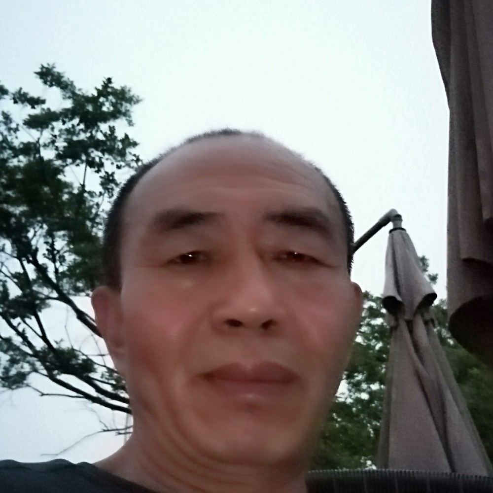 猫咪拾忆腼腆的照片