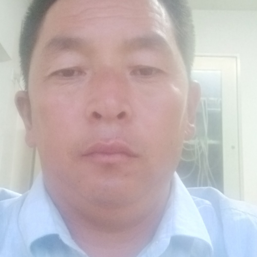 小鸭子吃醋英勇的照片