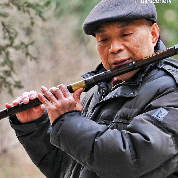 小猫咪卡布奇诺的的照片