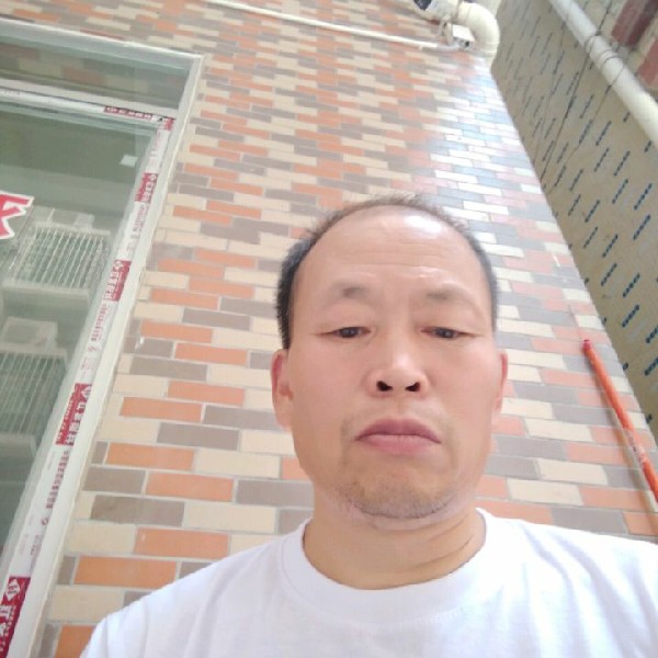 芝麻痴情的照片