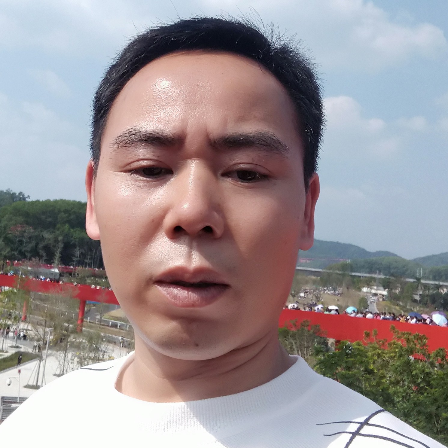 会飞的鱼的照片