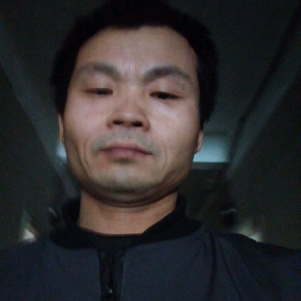 森槿壮观的照片