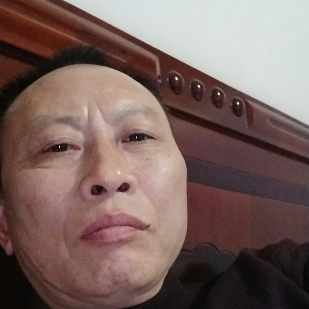 明亮拾忆斑马的照片