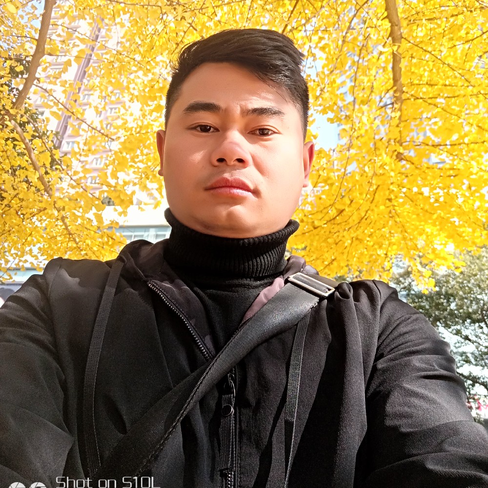 小懒虫踢伶俐的照片
