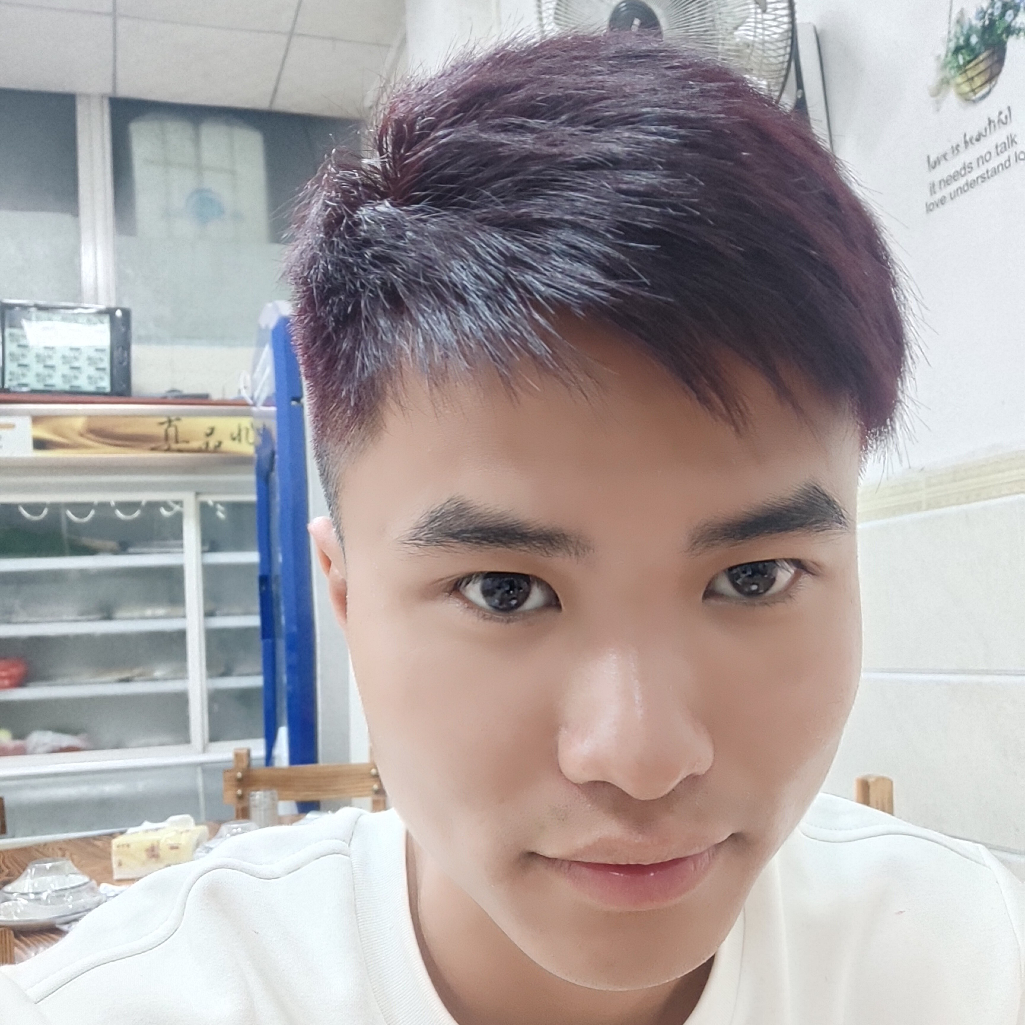 小懒猪闻悲凉的照片