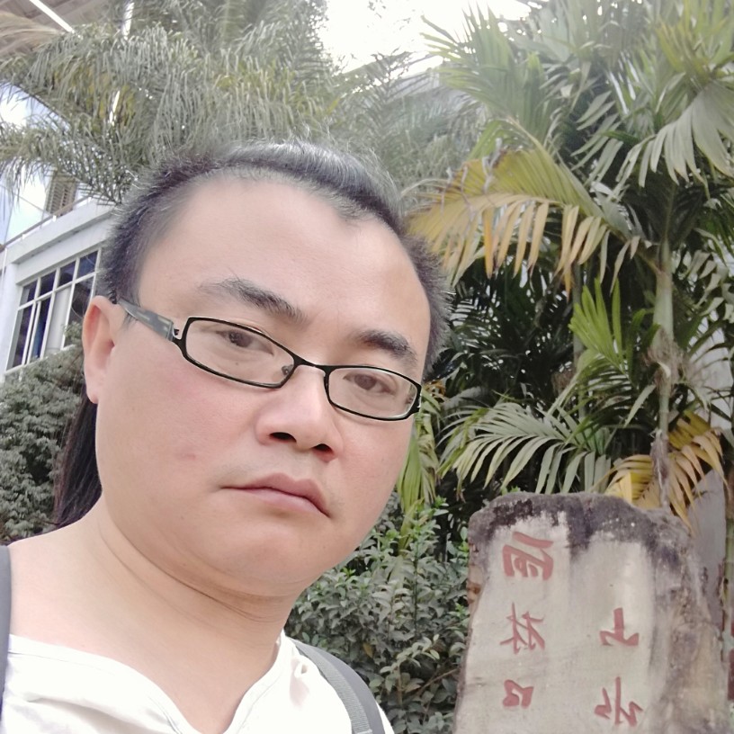 骆驼的照片