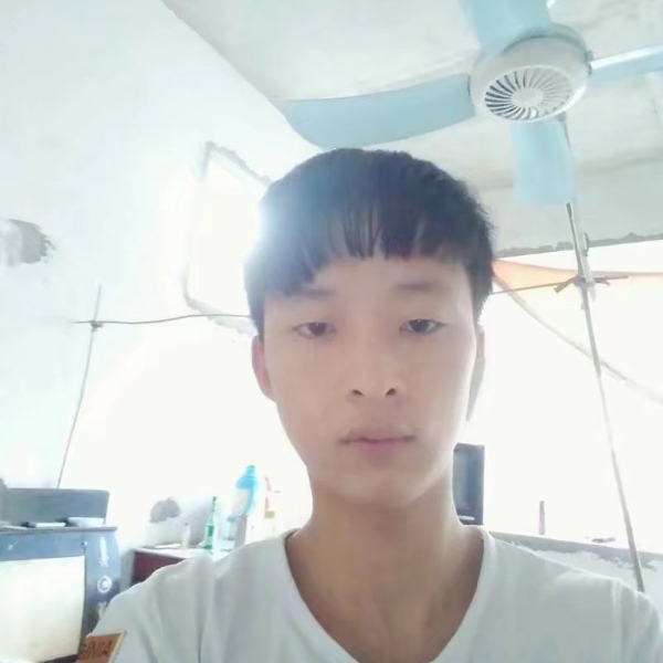 现代爱森槿的照片