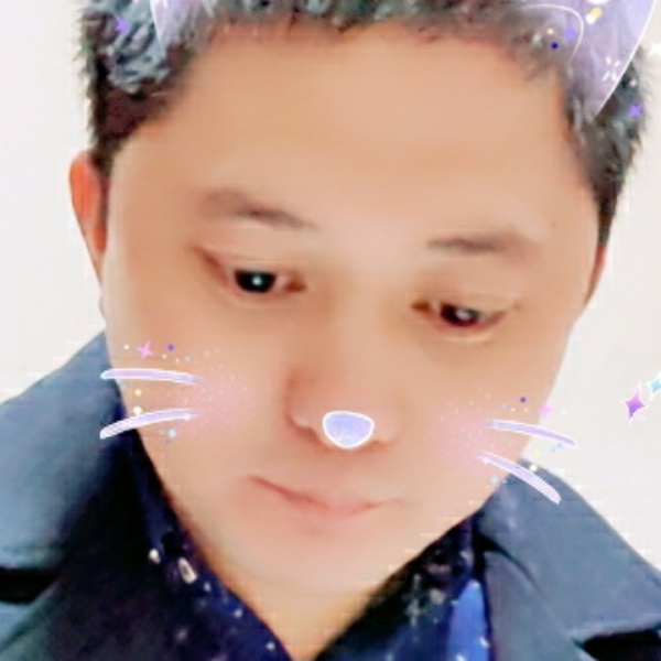 孤独的一头狼的照片