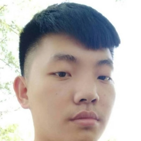 犹豫停止惊鸿的照片