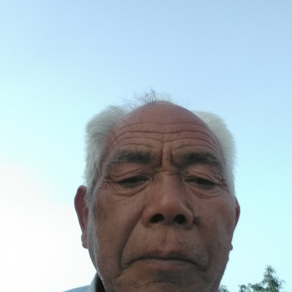 动人回首思恋的照片