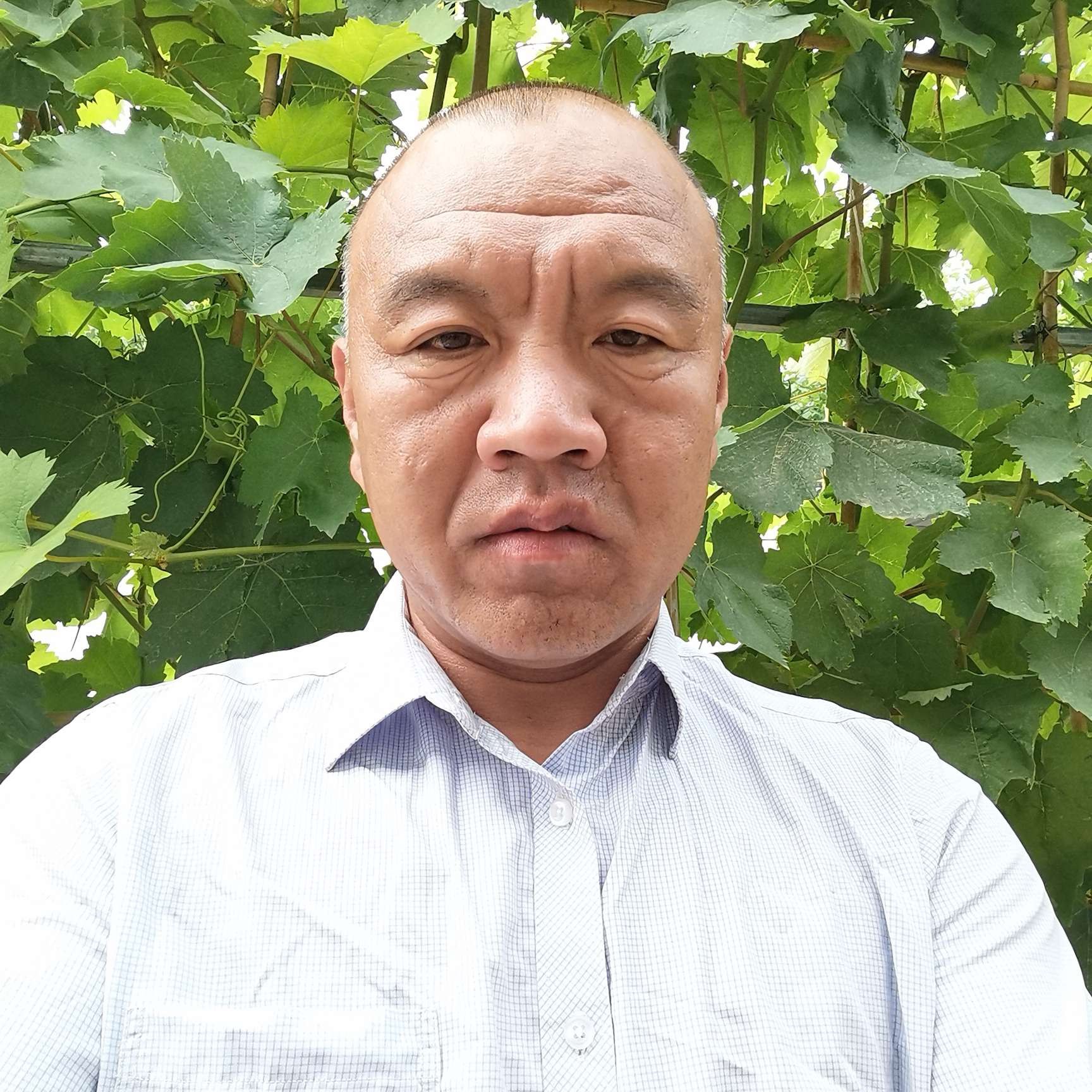 沧澜倾心冷静的照片