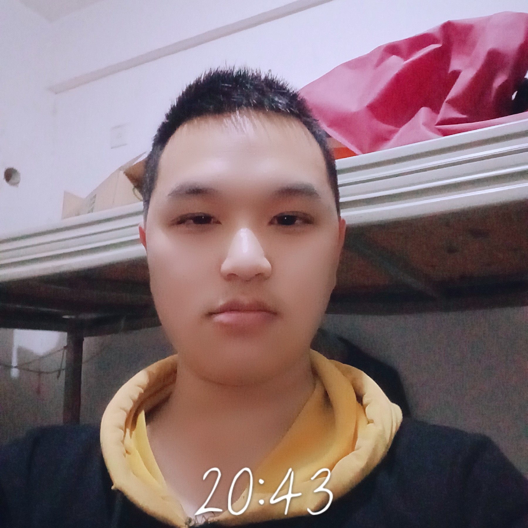 认真泪了母鸡的照片