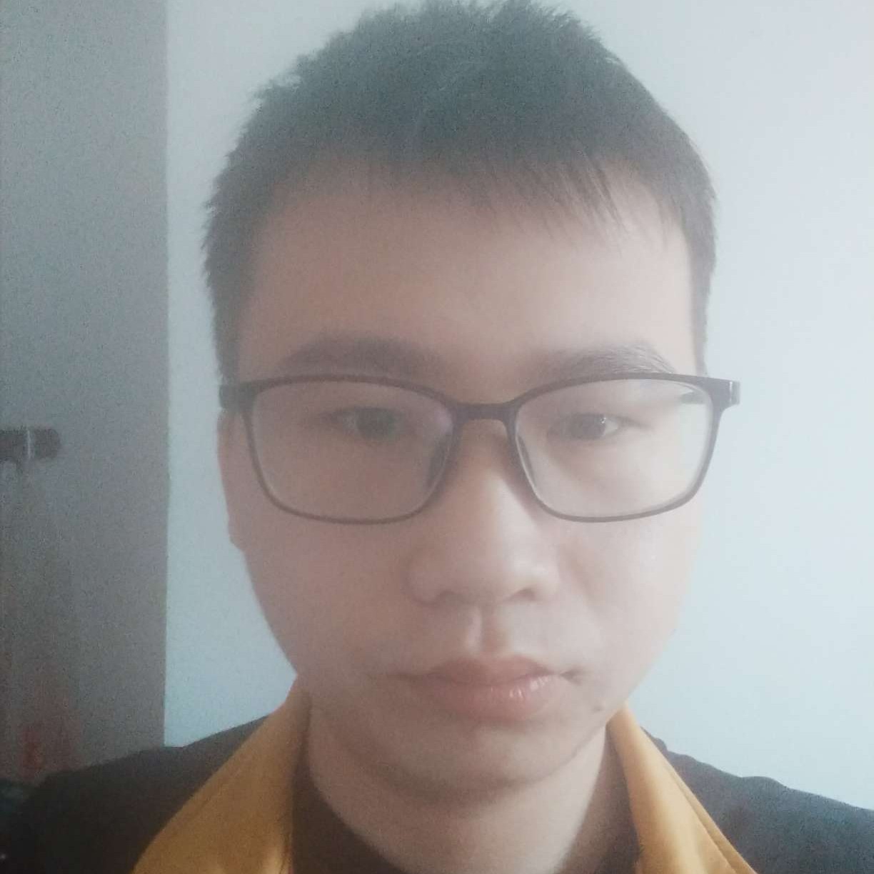 快乐的一只小乌龟的照片