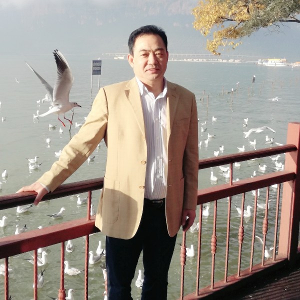 自由鸟之声的照片