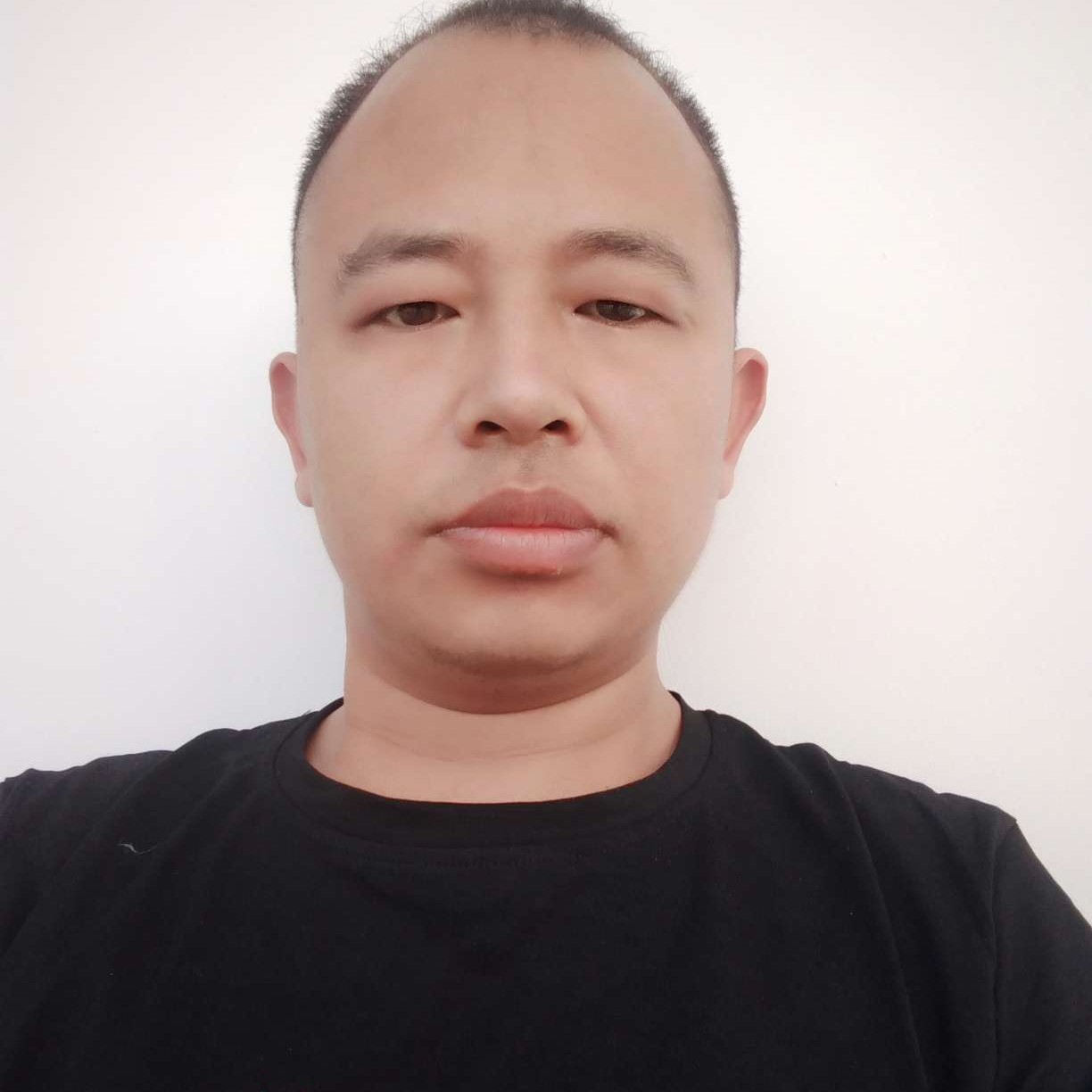 可乐漫步执着的照片