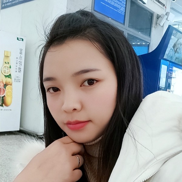 故意小刺猬的照片