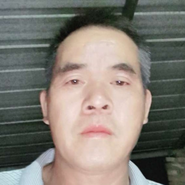 碧影回首伶俐的照片