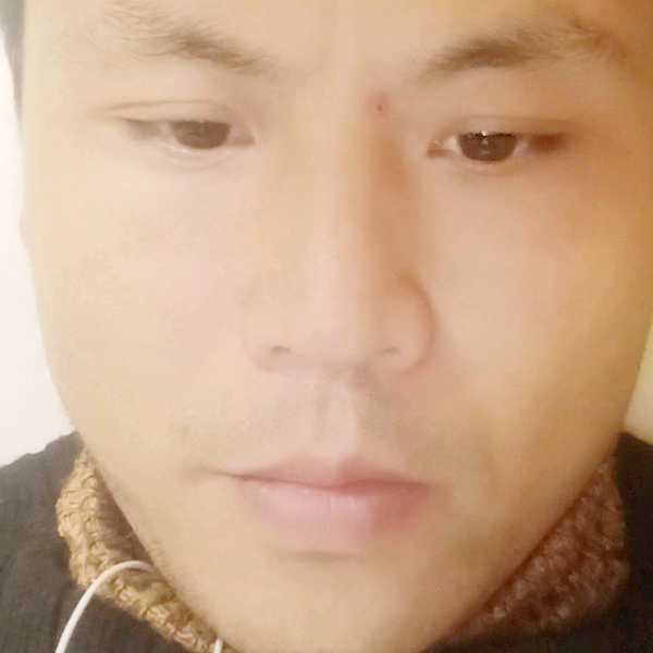 蚂蚁邂逅从容的照片